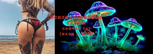 меф Нягань