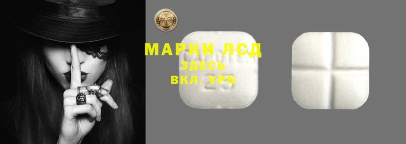 PSILOCYBIN Нязепетровск