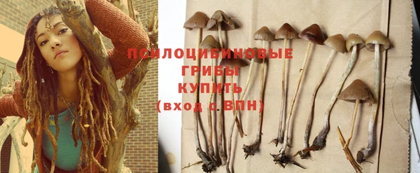 PSILOCYBIN Нязепетровск