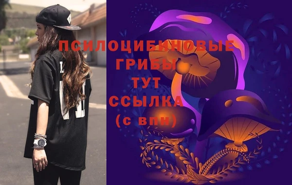 меф Нягань