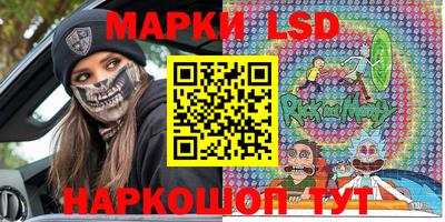 шишки Абакан
