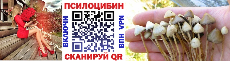 наркота  Заводоуковск  МЕГА ТОР  Галлюциногенные грибы ЛСД 
