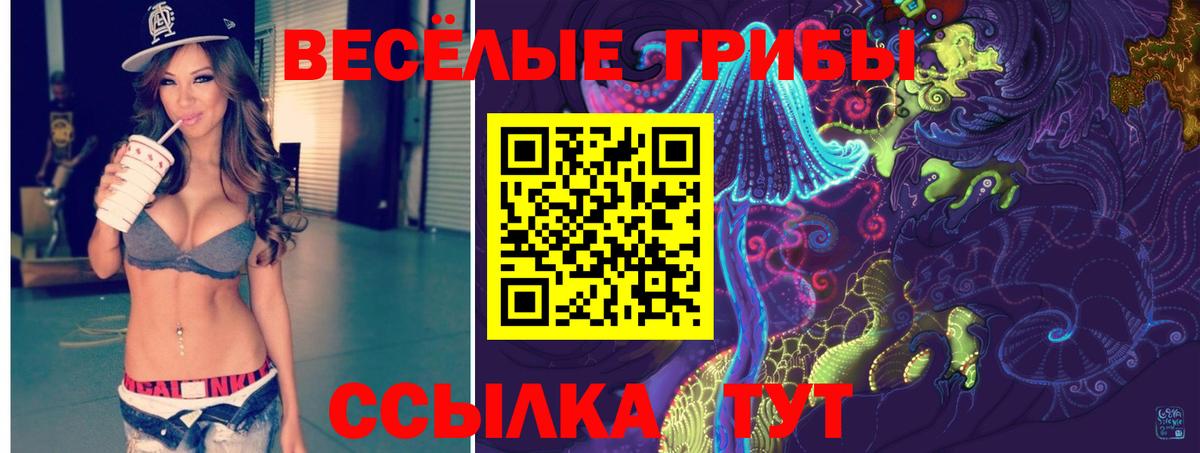 Псилоцибиновые грибы Psilocybine cubensis Заводоуковск